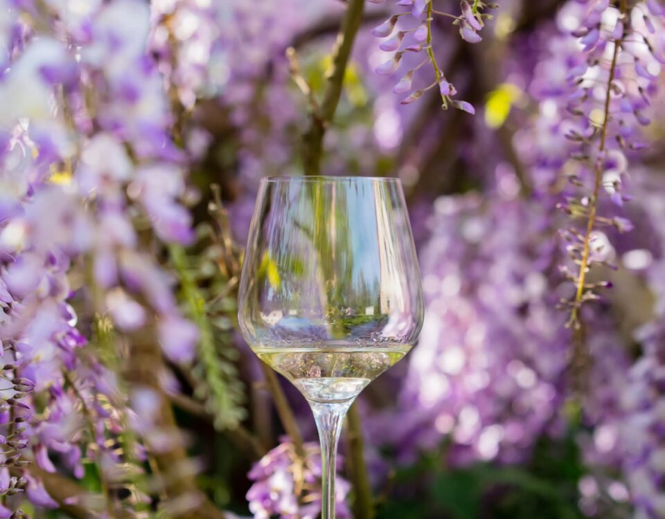 dlaczego biale wino jest biale